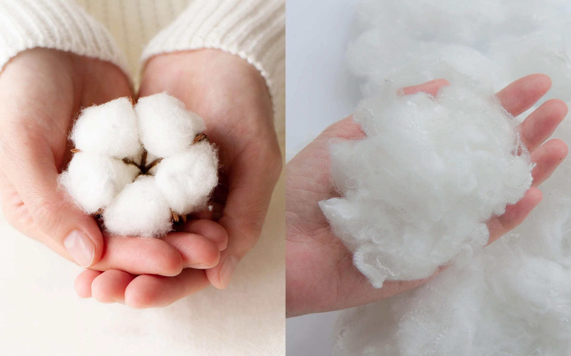 Vêtements en coton : quels entretien et nettoyage préférer ?